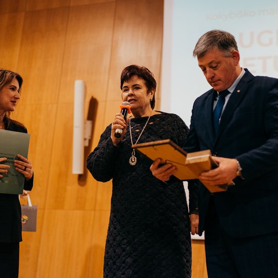 Iliustracija