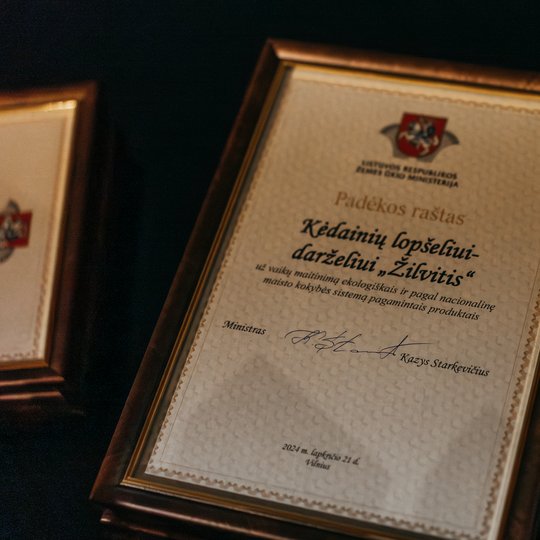 Iliustracija