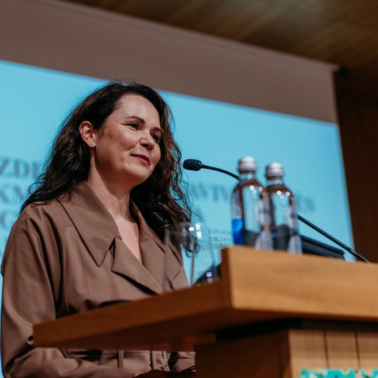 Iliustracija