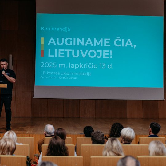 Iliustracija