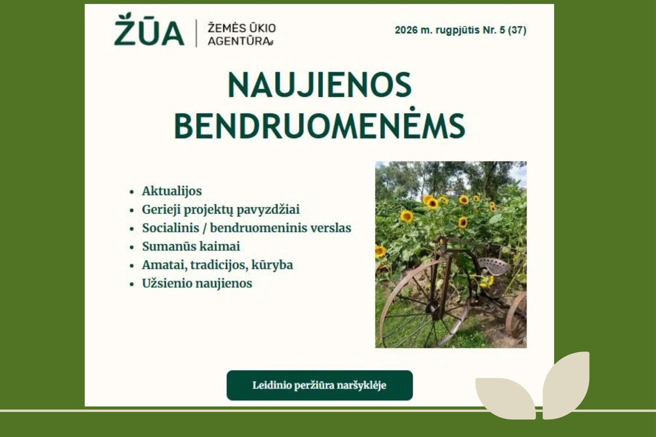 Iliustracija