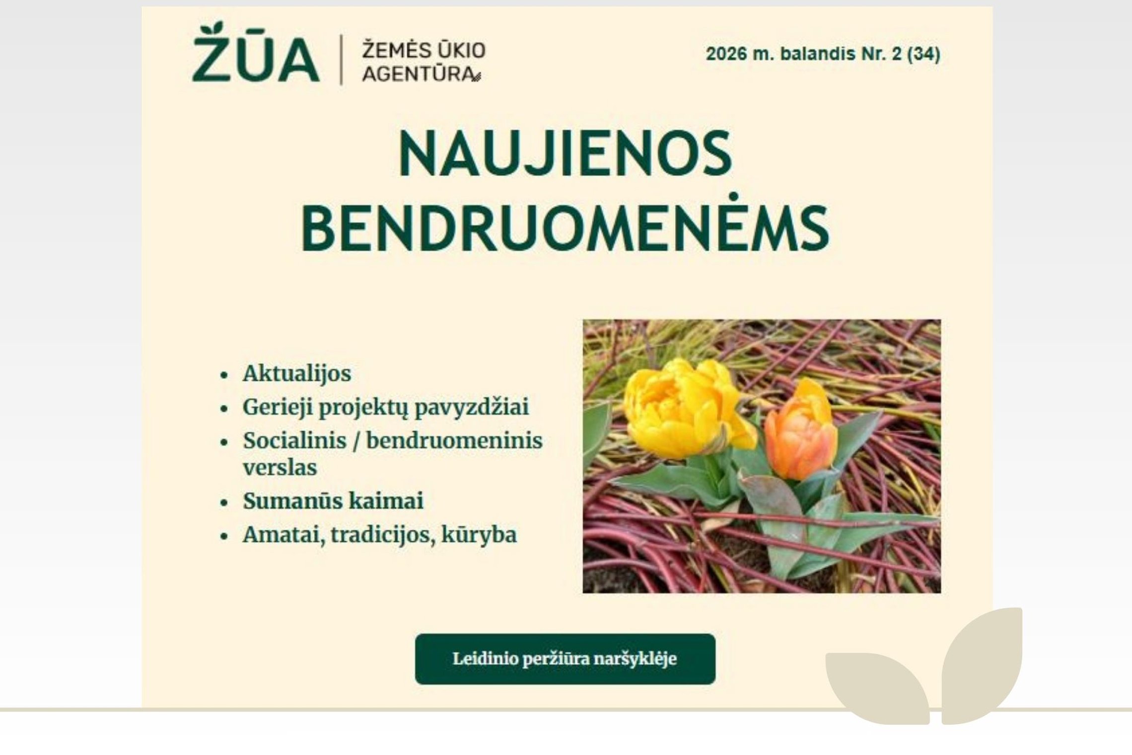 Iliustracija
